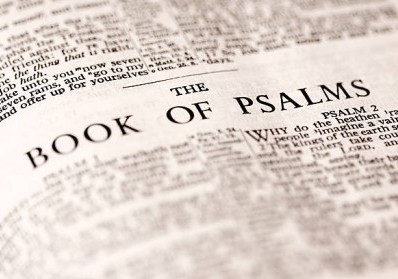 Discovering the Heart of God: A Study on the Psalms blog image